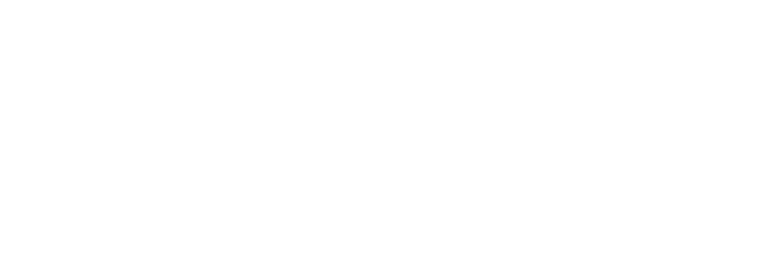 CCт ФУ